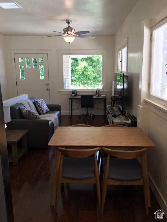 Office space featuring wood-type flooring, plenty of natural light, and ceiling fan