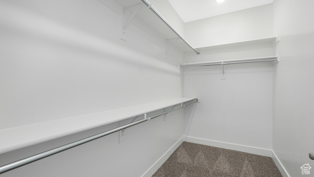 Walk in closet with dark colored carpet