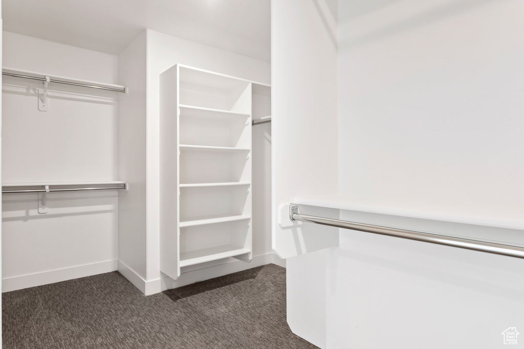 Spacious closet with dark colored carpet