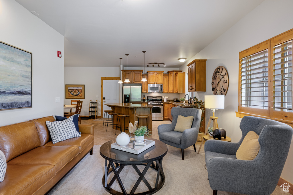 Living room featuring plenty of natural light and track lighting
