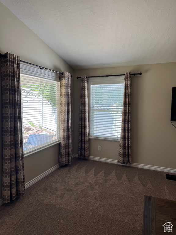Unfurnished room with carpet flooring, healthy amount of natural light, baseboards, and vaulted ceiling