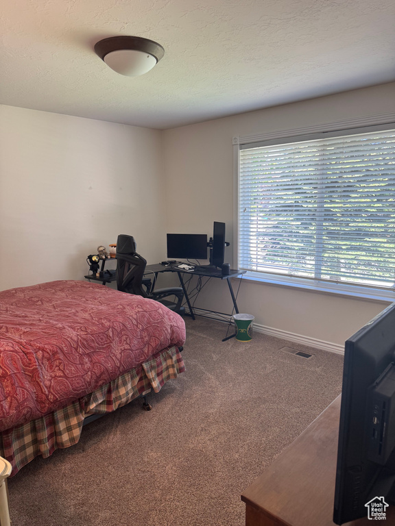 Carpeted bedroom with an office area