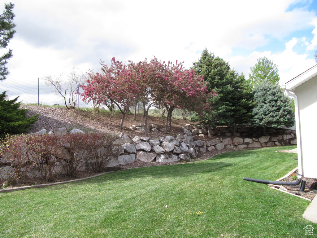 View of grassy yard