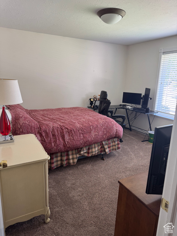 Bedroom featuring carpet floors and an office area