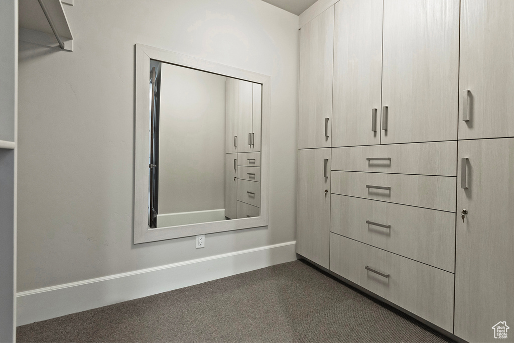 Walk in closet with dark colored carpet