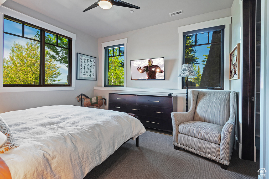 Bedroom featuring multiple windows, carpet flooring, and a ceiling fan
