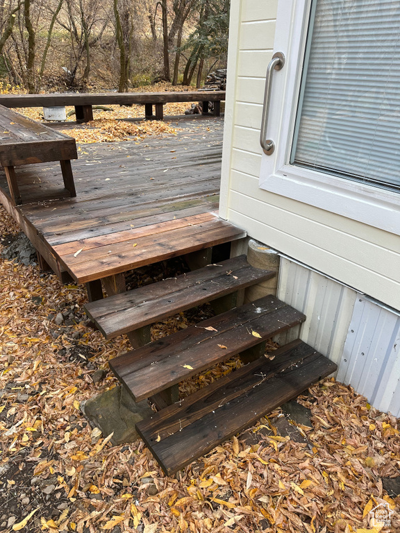 Wooden terrace with entry steps