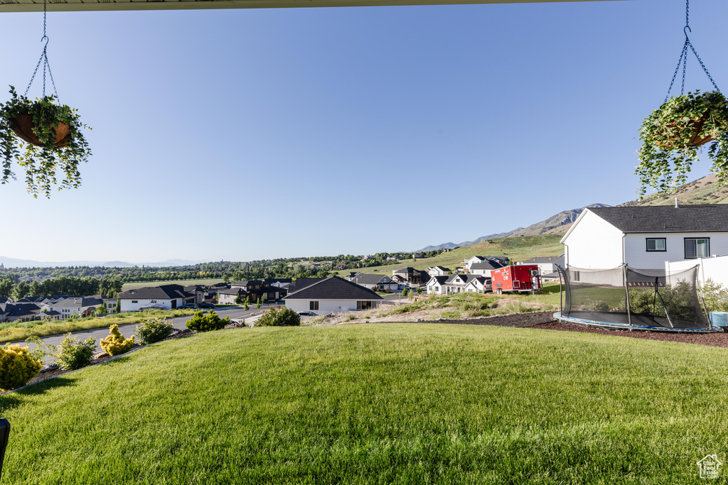 View of green lawn with a residential view, a mountain view, and a trampoline