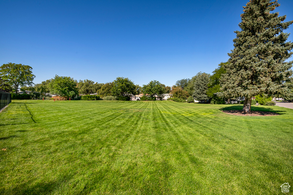 View of grassy yard