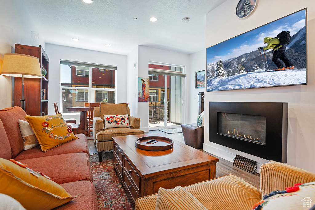 Living room with a glass covered fireplace and recessed lighting