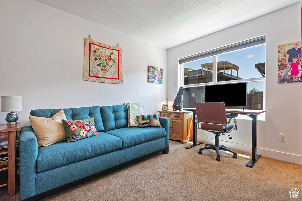 Office space featuring light carpet
