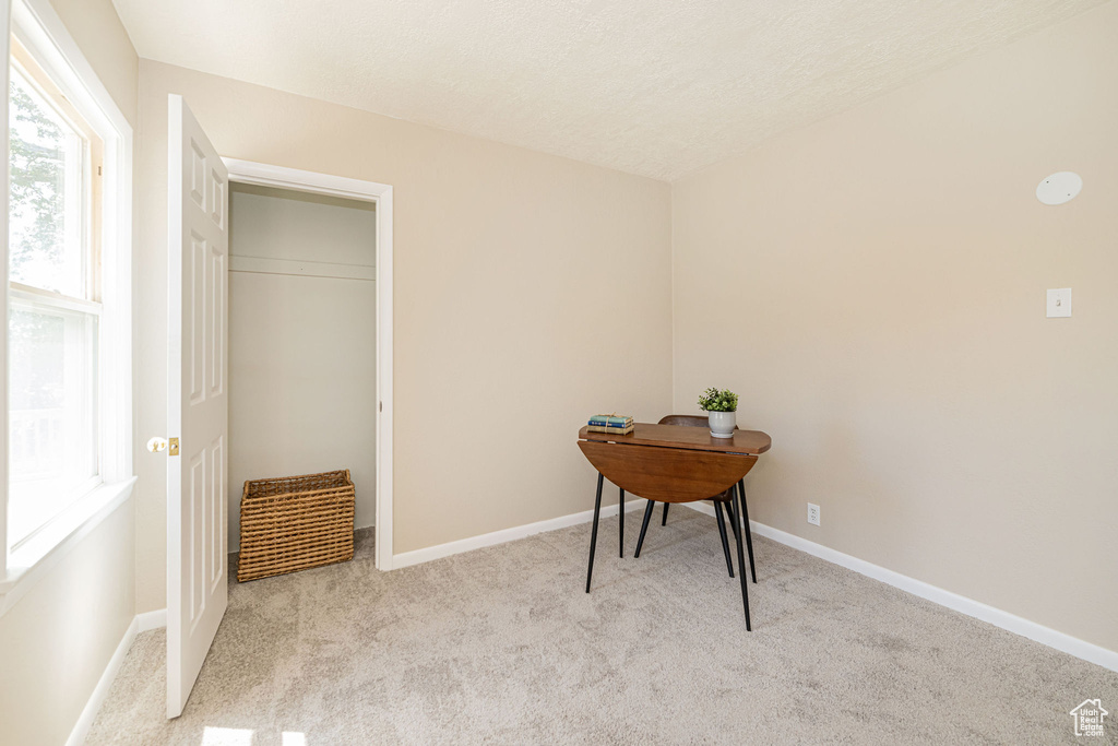 Office with carpet floors and baseboards