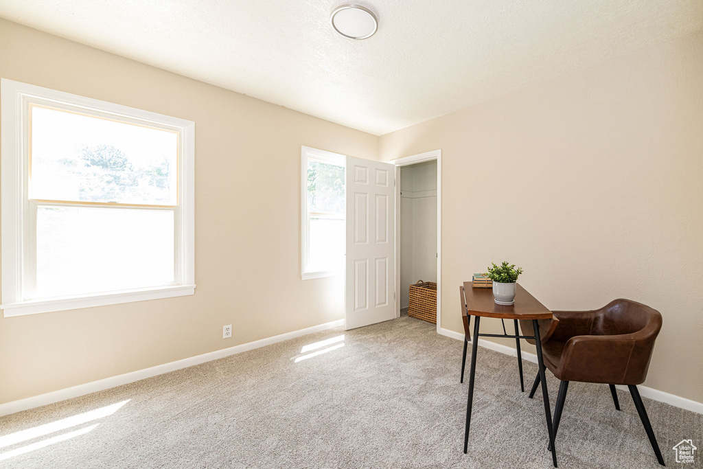 Office featuring light carpet
