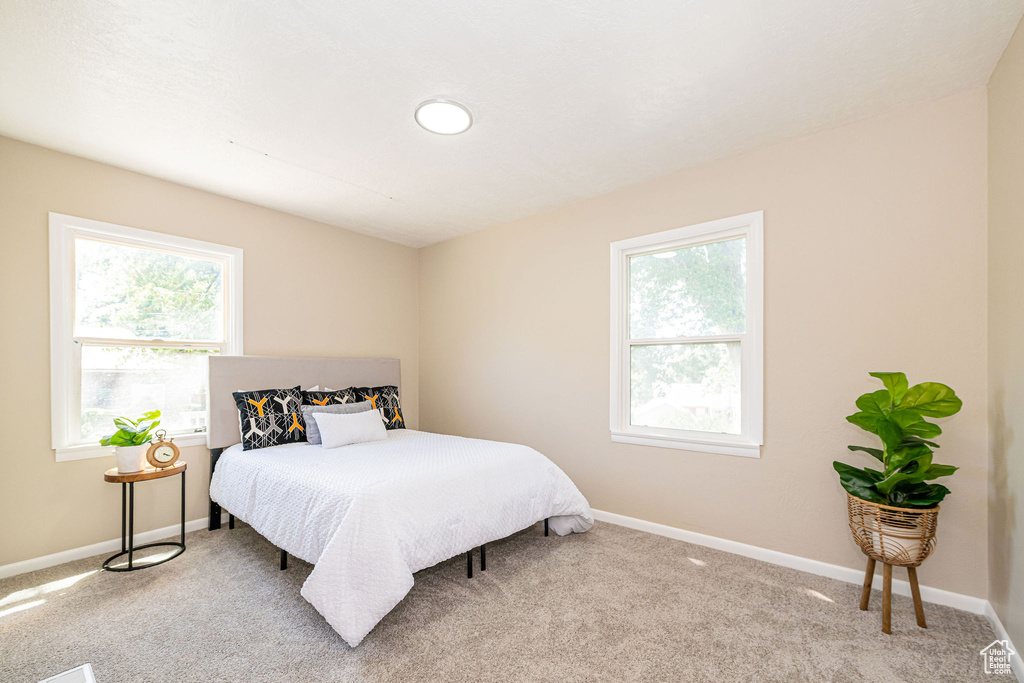 Bedroom featuring multiple windows and carpet