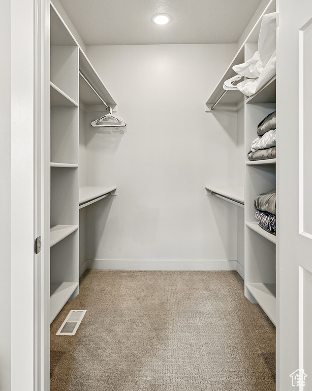 Walk in closet with carpet