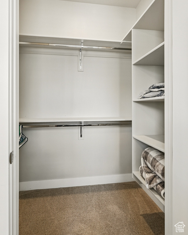 Walk in closet with carpet