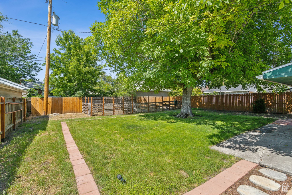 View of yard
