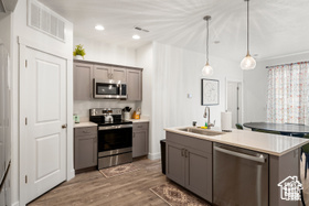 Kitchen featuring stainless steel appliances, a sink, gray cabinetry, wood finished floors, and recessed lighting