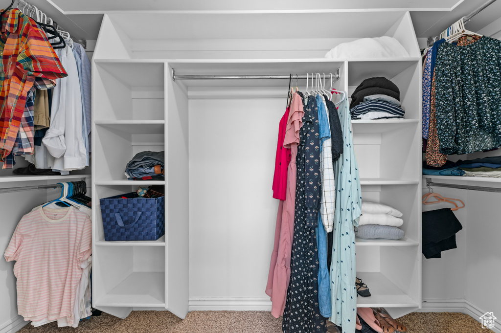 Spacious closet featuring carpet