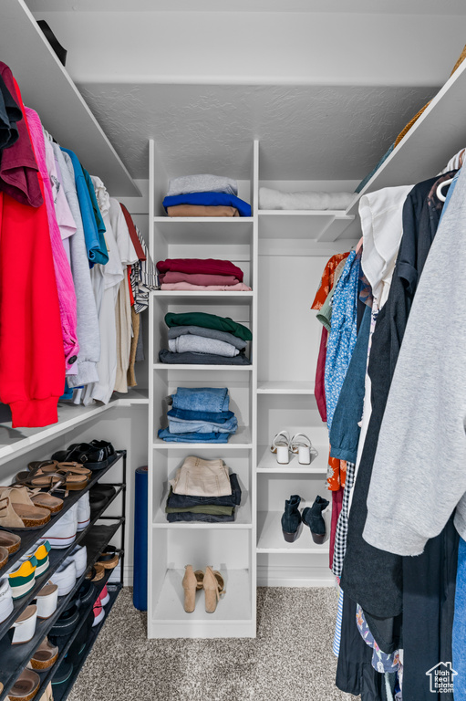 Spacious closet featuring carpet