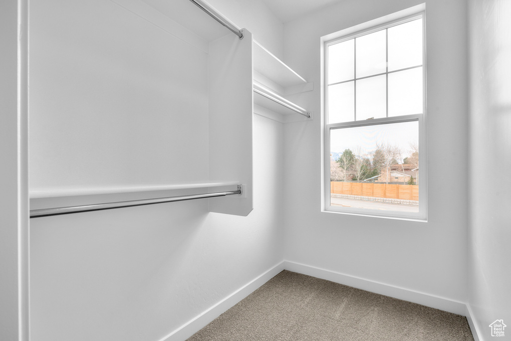 Spacious closet featuring carpet floors