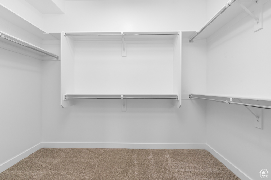 Spacious closet featuring carpet flooring