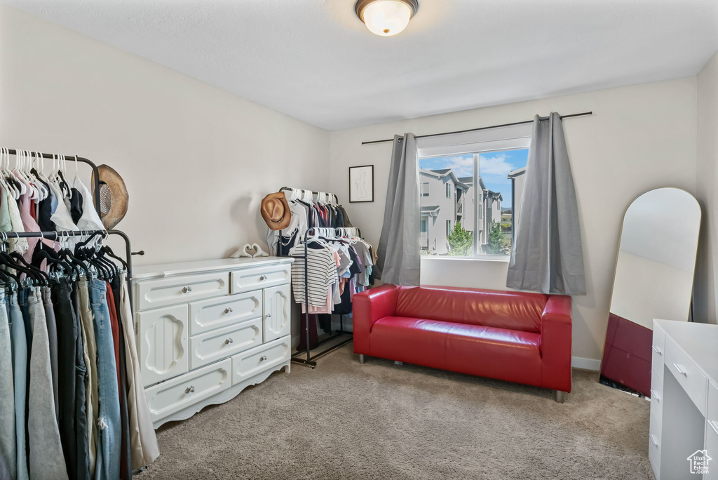 Living area with light carpet