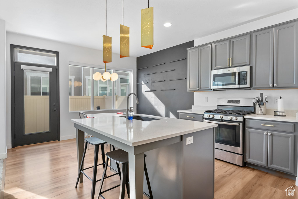 Kitchen with stainless steel appliances, a sink, gray cabinetry, an island with sink, and recessed lighting