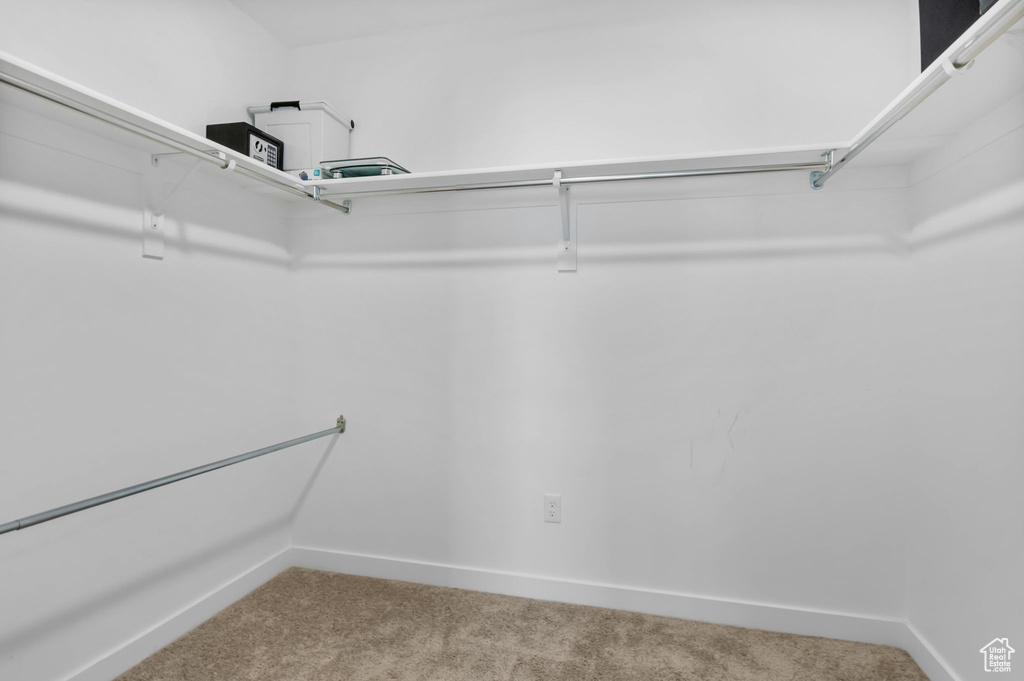 Walk in closet featuring carpet