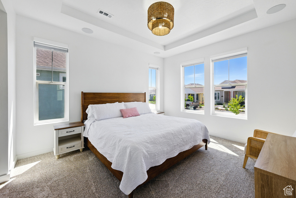 Carpeted bedroom featuring a raised ceiling, multiple windows, and baseboards