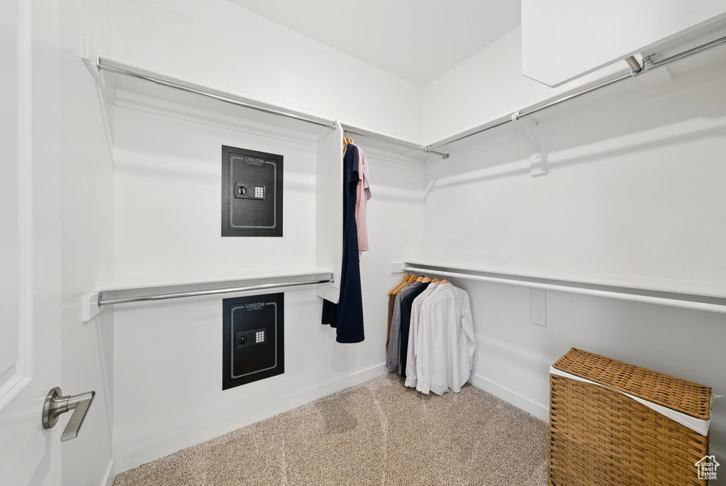 Spacious closet featuring carpet