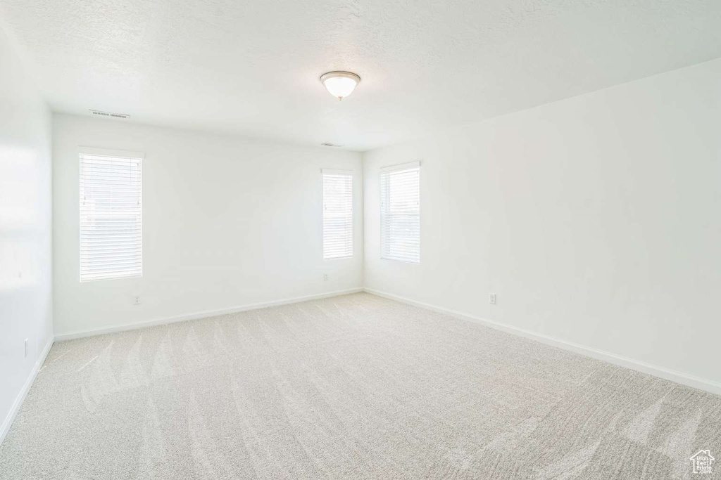 Spare room featuring light colored carpet, healthy amount of natural light, and a textured ceiling