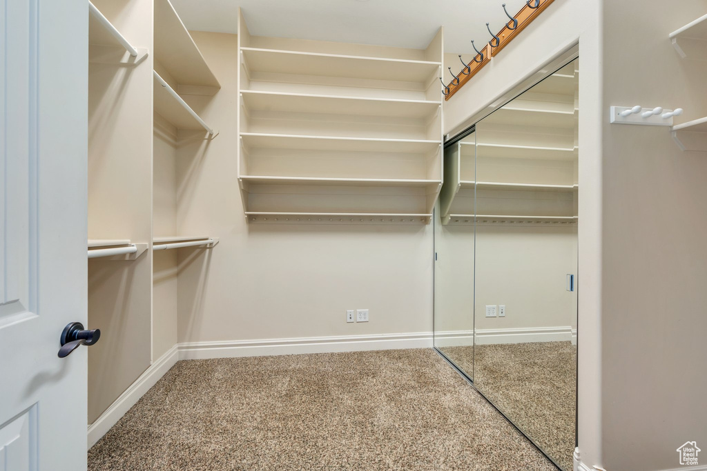 Walk in closet featuring carpet