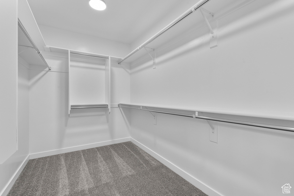 Walk in closet featuring dark colored carpet