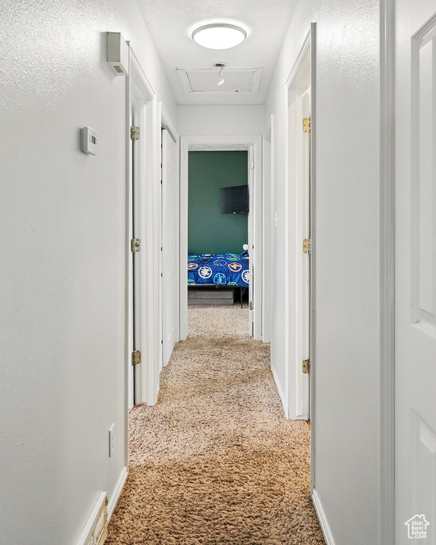 Hallway featuring carpet floors and baseboards