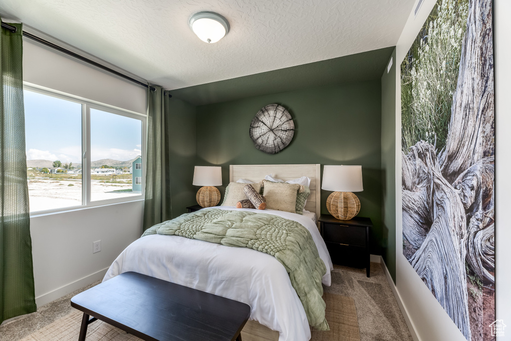 Carpeted bedroom with a textured ceiling and baseboards