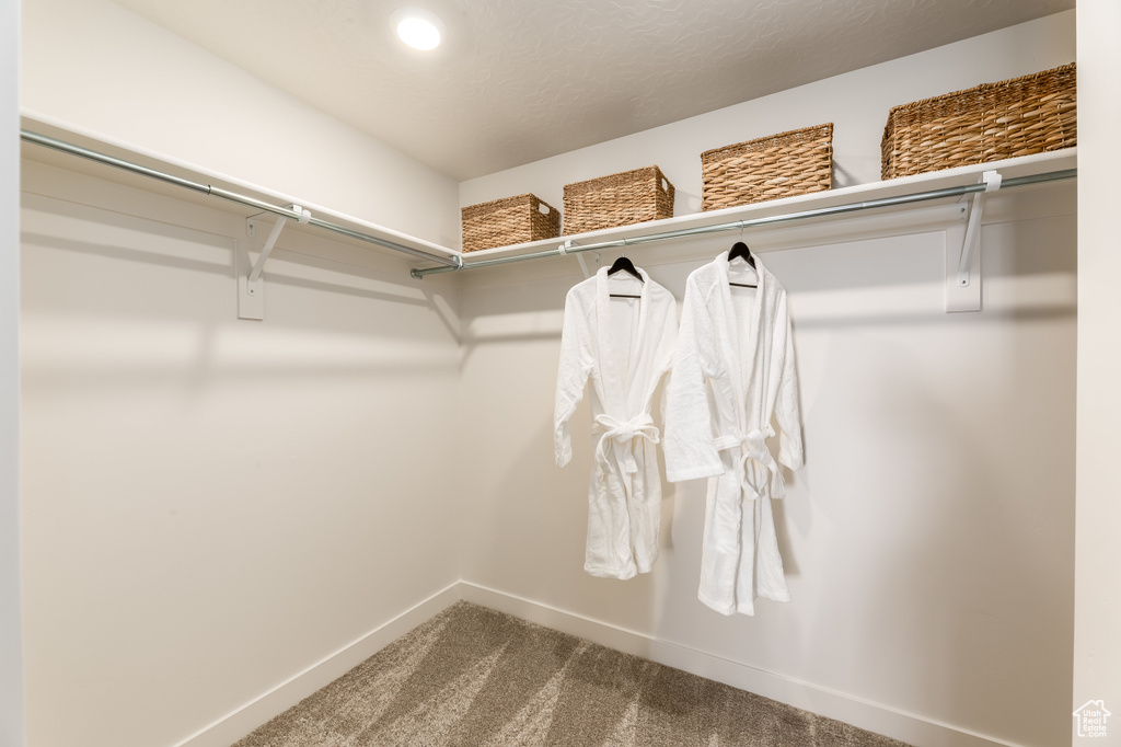 Spacious closet with carpet floors