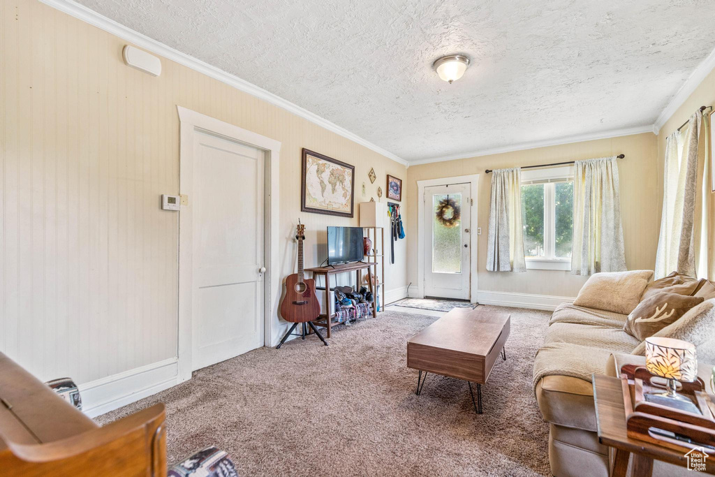 Living room with carpet flooring, crown molding, baseboards, and a textured ceiling