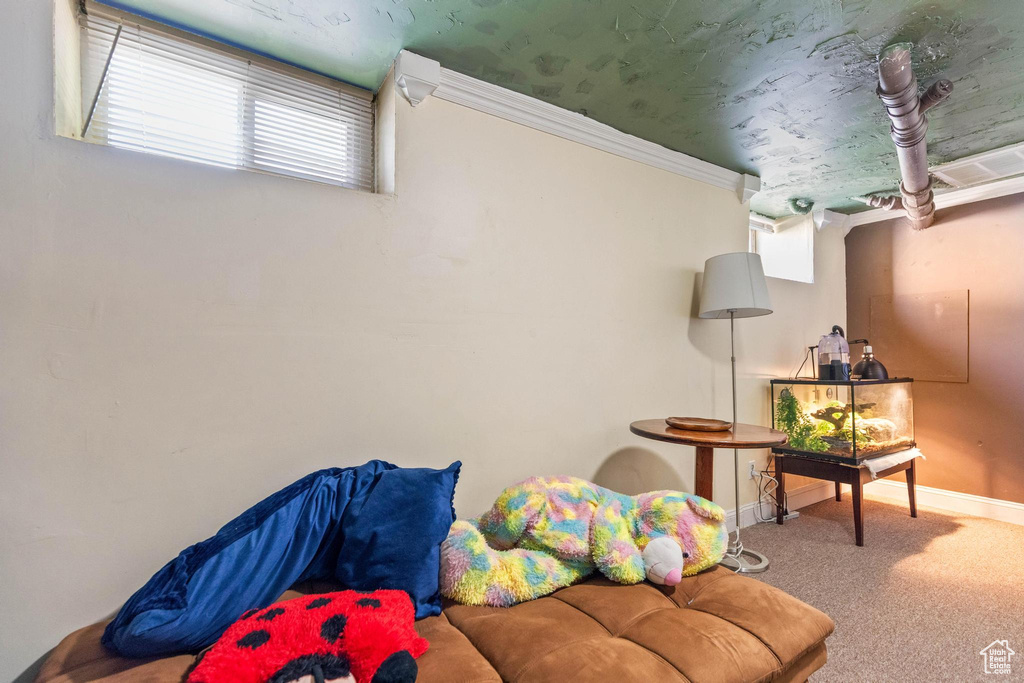 Sitting room with carpet flooring, baseboards, and crown molding