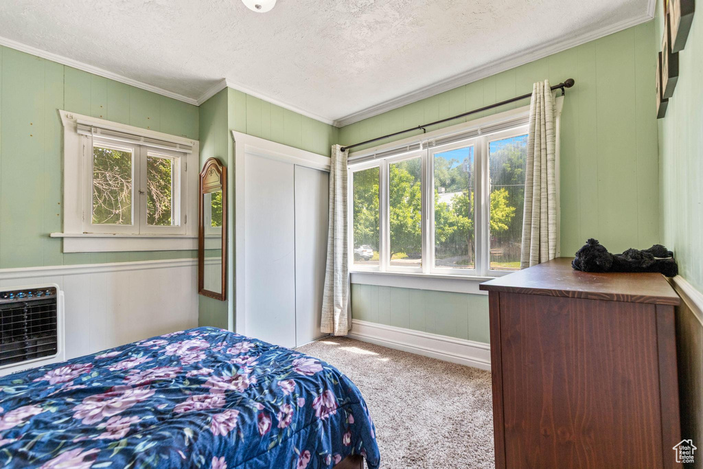 Carpeted bedroom featuring crown molding, multiple windows, a textured ceiling, a closet, and a decorative wall