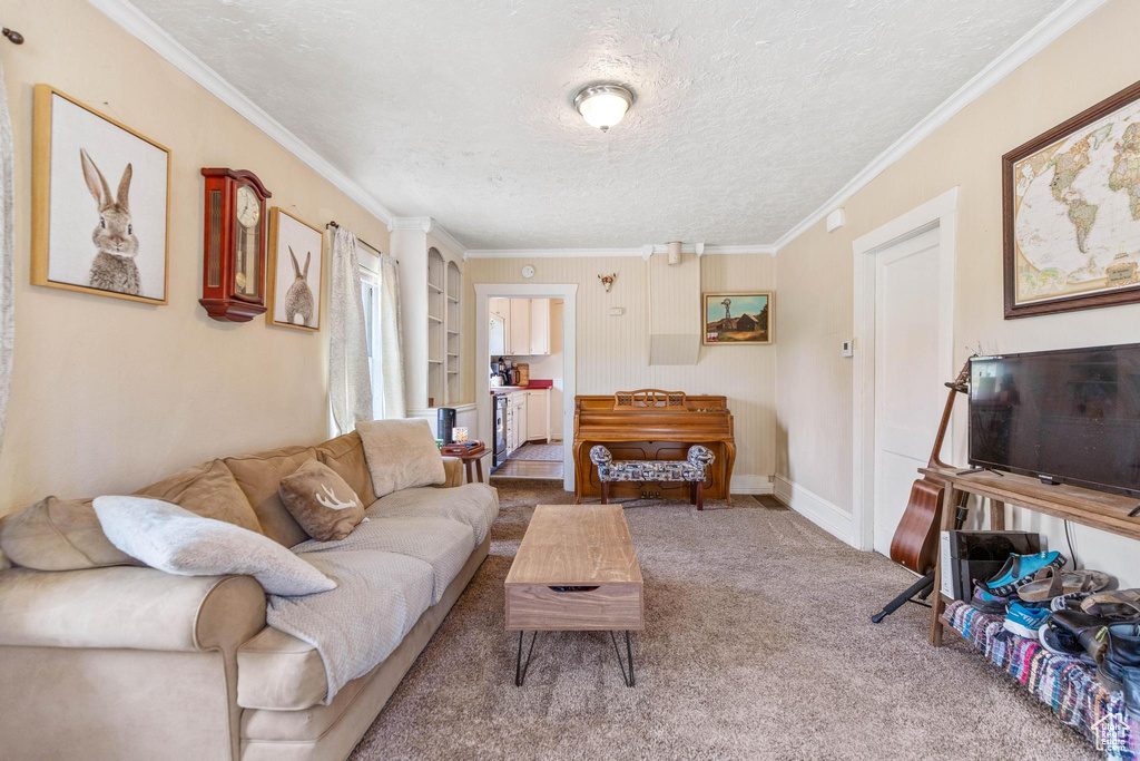 Carpeted living room featuring a textured ceiling and crown molding