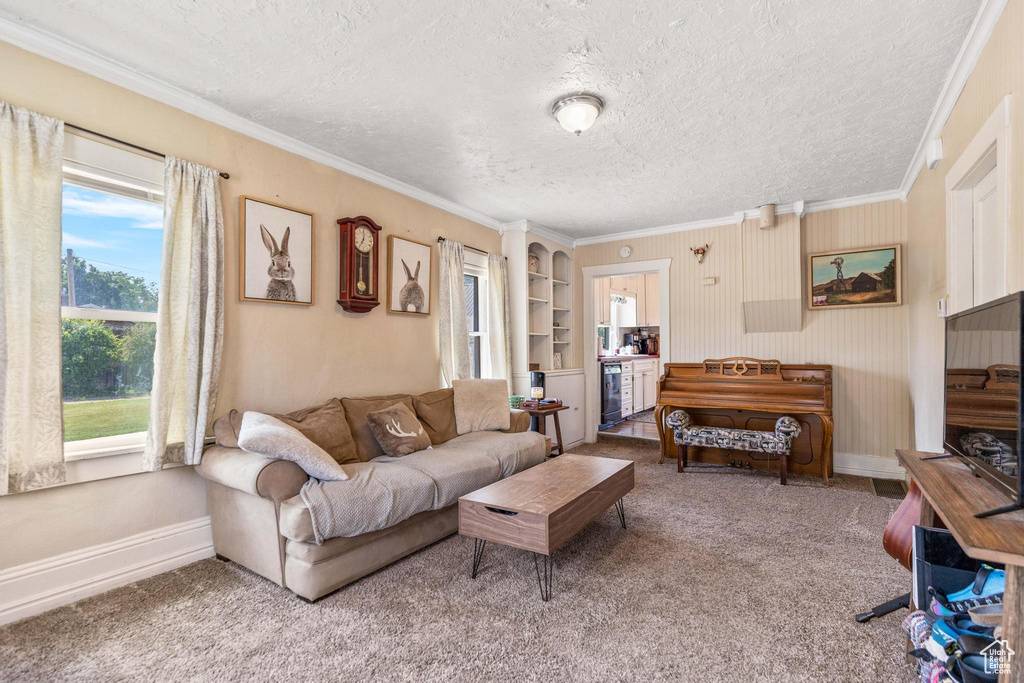 Living area with a textured ceiling, crown molding, carpet, and baseboards