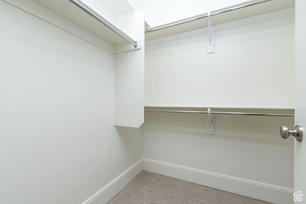 Spacious closet featuring carpet floors