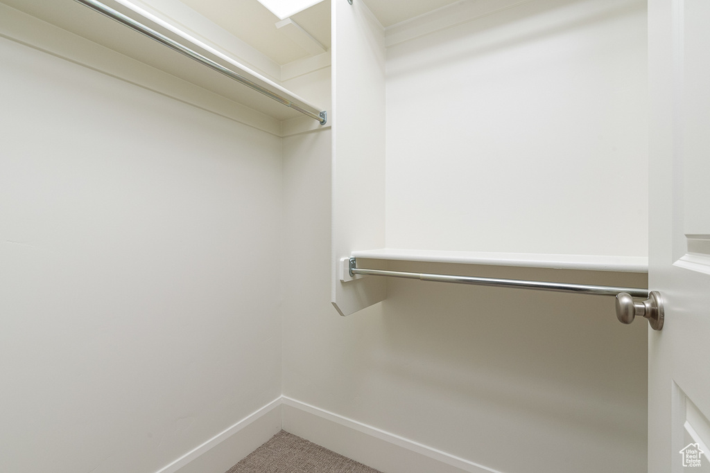 Walk in closet with carpet floors
