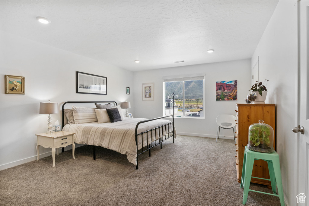 Bedroom with carpet floors, baseboards, and recessed lighting