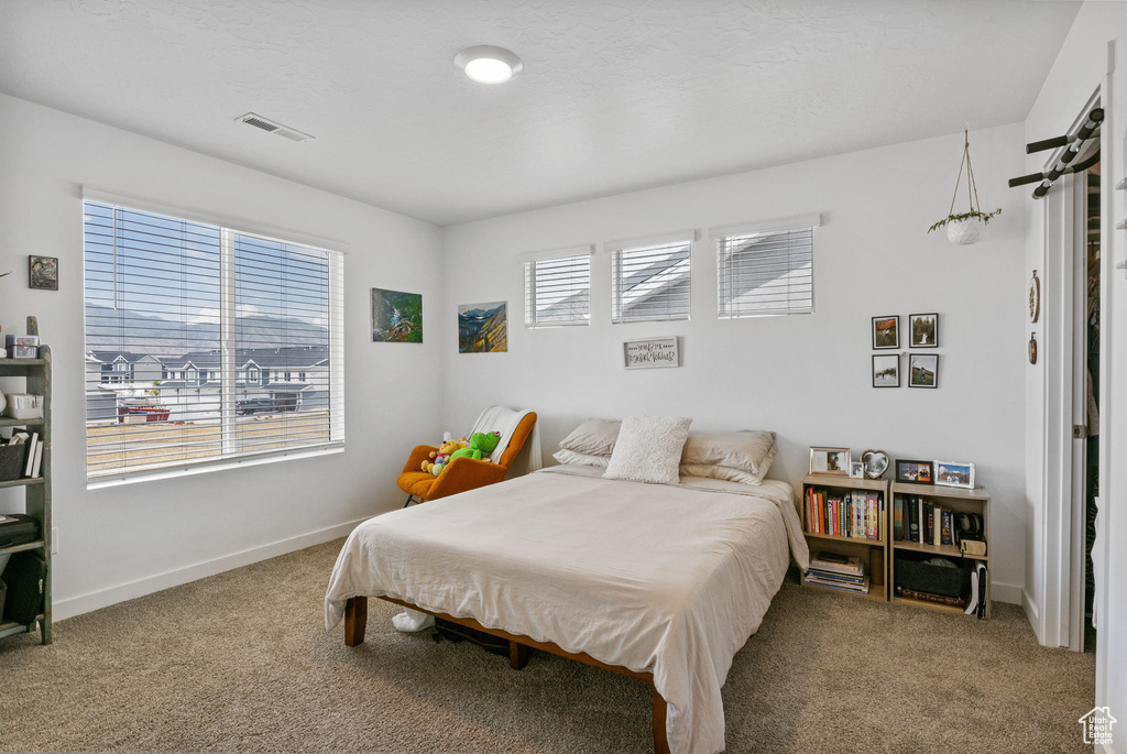 Carpeted bedroom featuring multiple windows and baseboards