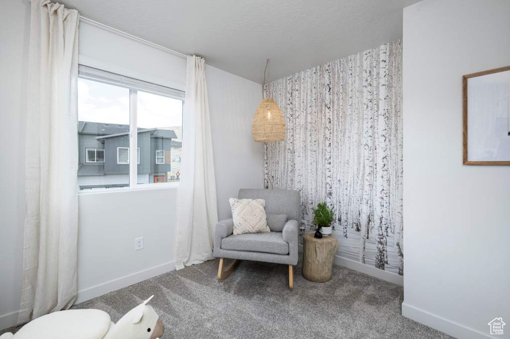 Living area featuring carpet and baseboards