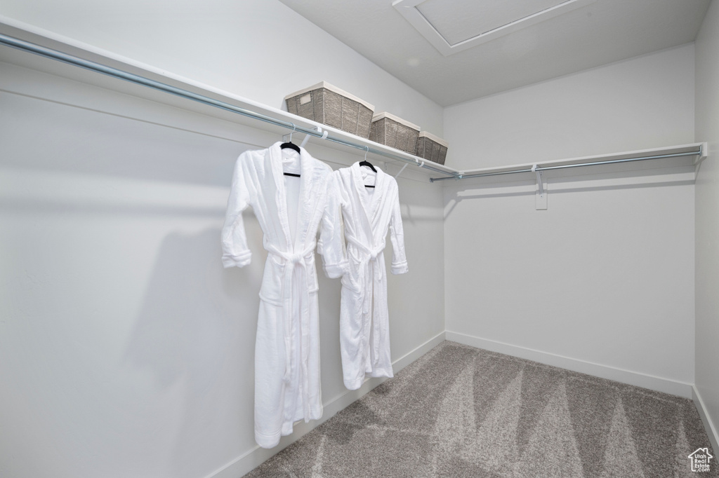 Spacious closet with carpet flooring and attic access