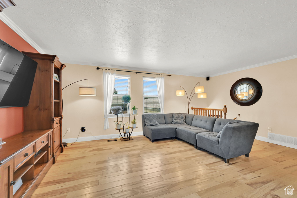 Living area featuring light wood-type flooring, a textured ceiling, ornamental molding, and baseboards