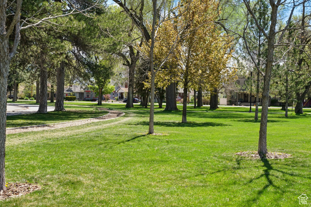 View of community featuring a lawn